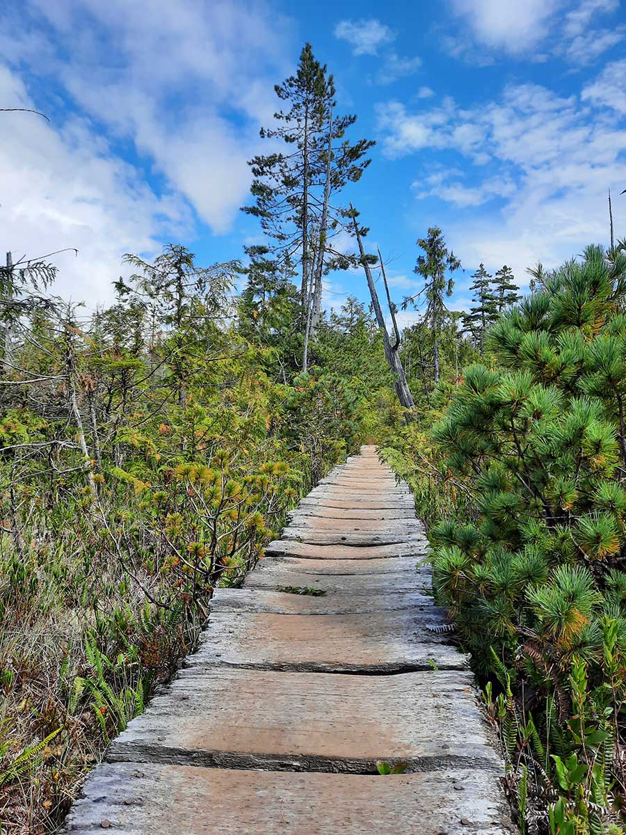 Women's Backpacking Retreat (2026) - Image 2