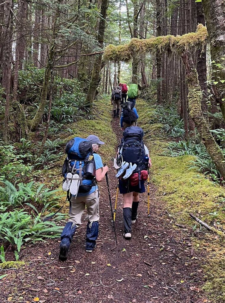 Hikers in a west coast forest